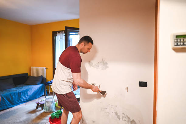 Professional Mold Removal in South Alamo, TX